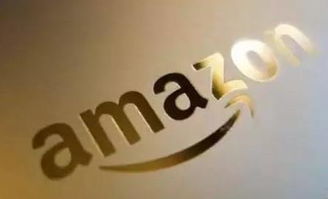 電商軟件亞馬遜無(wú)貨源erp貼牌定制,獨(dú)立部署定制,包教會(huì),