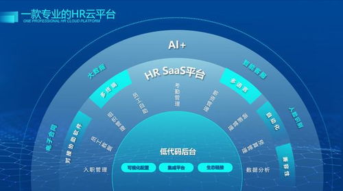 2175云 ,hr saas中的航母