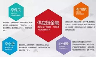 京東長期不盈利,他的未來在哪里