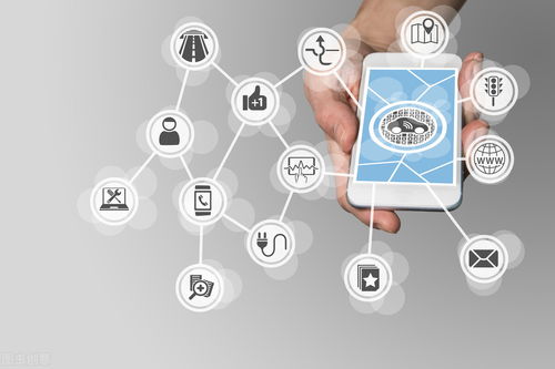 市面上erp軟件那么多,為什么很多賣(mài)家選擇定制erp