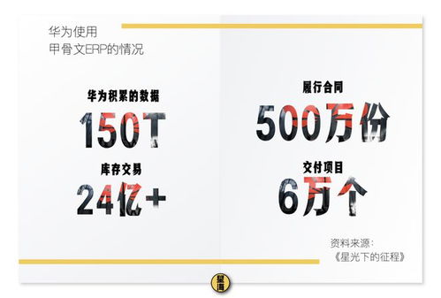 華為metaerp突圍之路 一場屬于凡人的英雄史詩