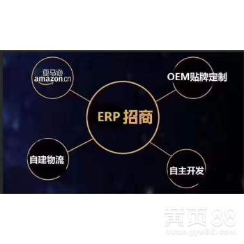 【跨境電商無(wú)貨源店群、亞馬遜erp系統(tǒng)代理定制】-