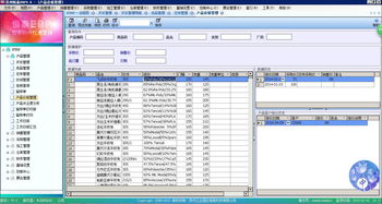 數碼電腦ERP定制 提升企業效率的新引擎